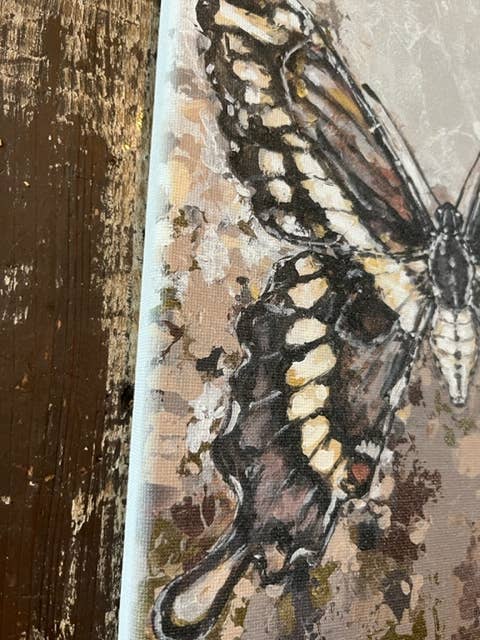 Butterfly Canvas Art Print