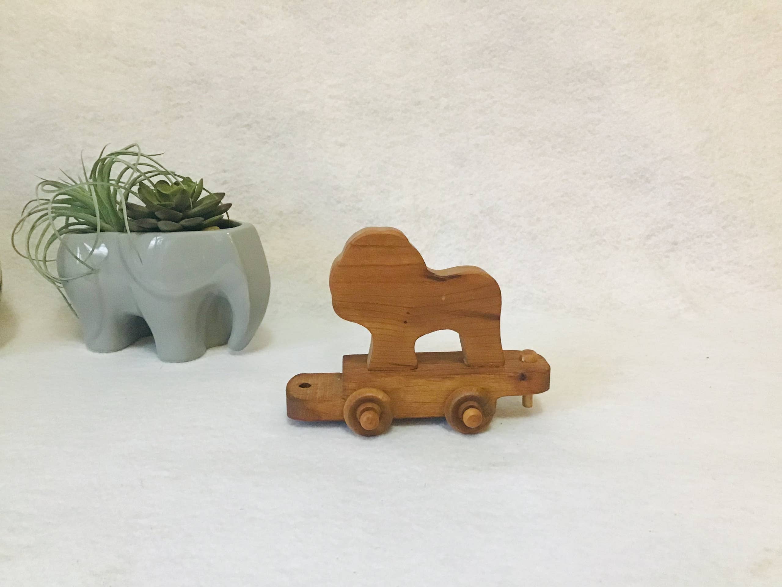 Wooden Zoo Train