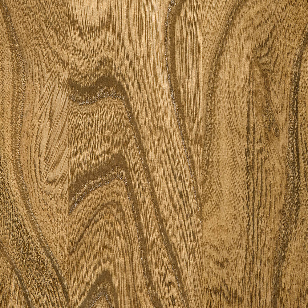 Harvest-Elm