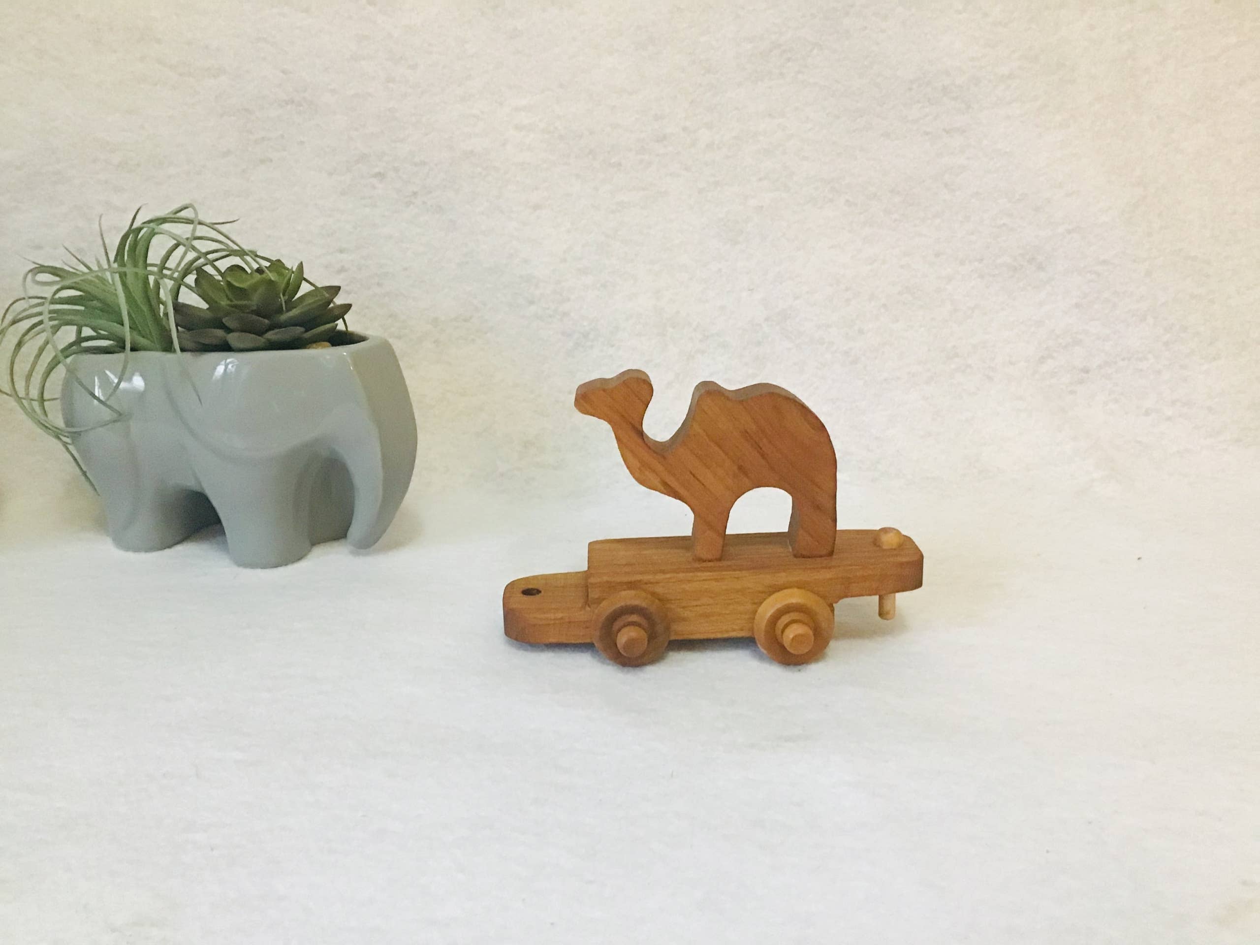 Wooden Zoo Train
