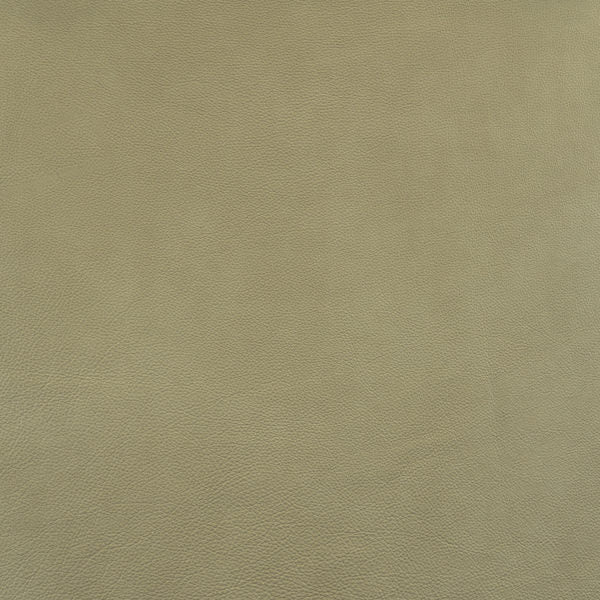 Avacado-Buckeye Leather