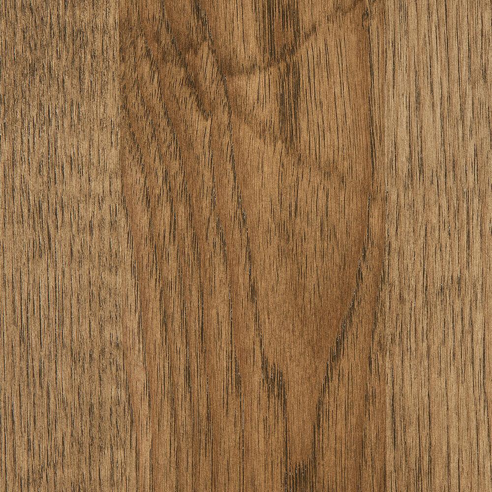 Hickory