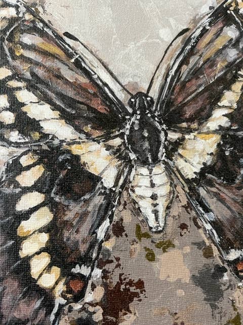 Butterfly Canvas Art Print