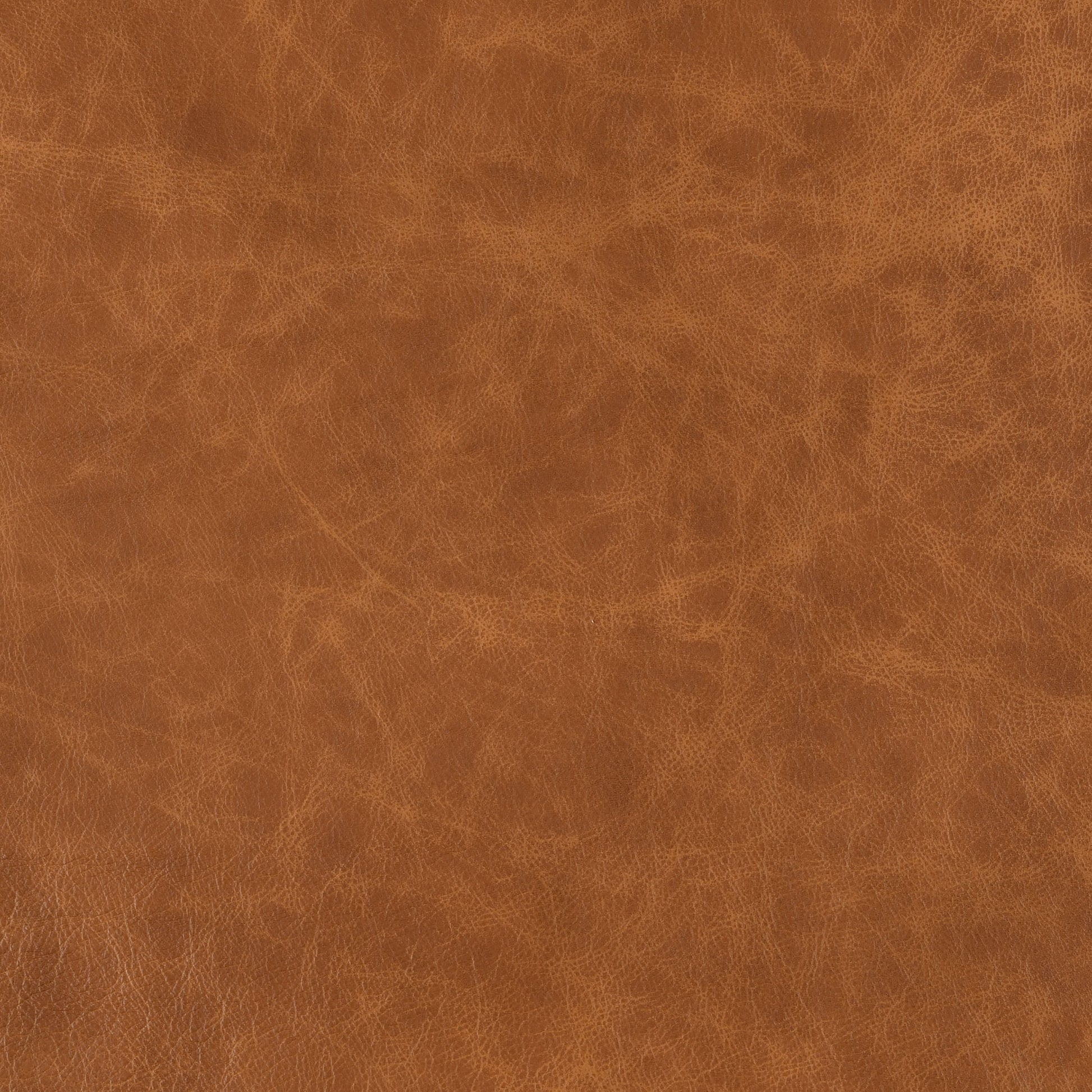 Bourbon-Buckeye Leather