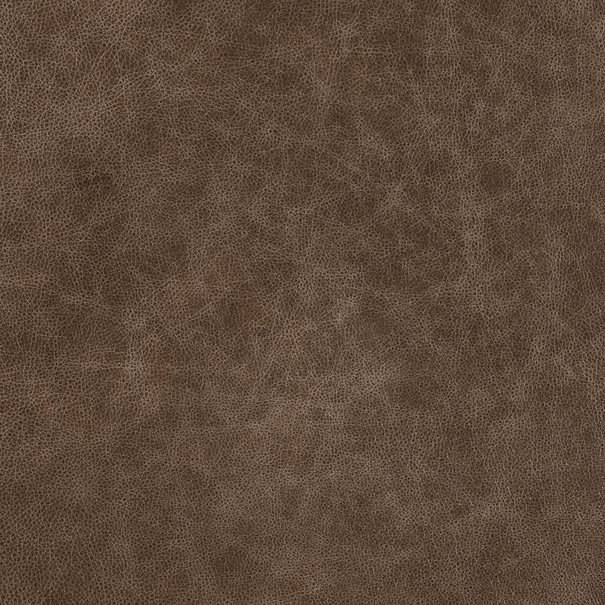 Fawn-Buckeye Leather