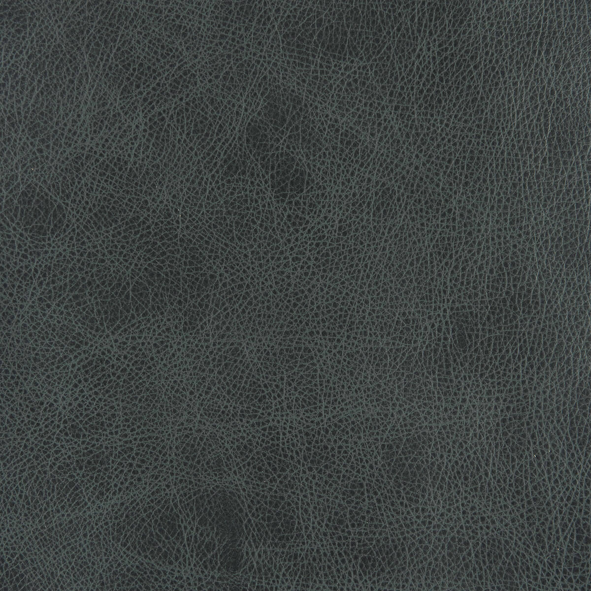 Jeans-Heartland Leather