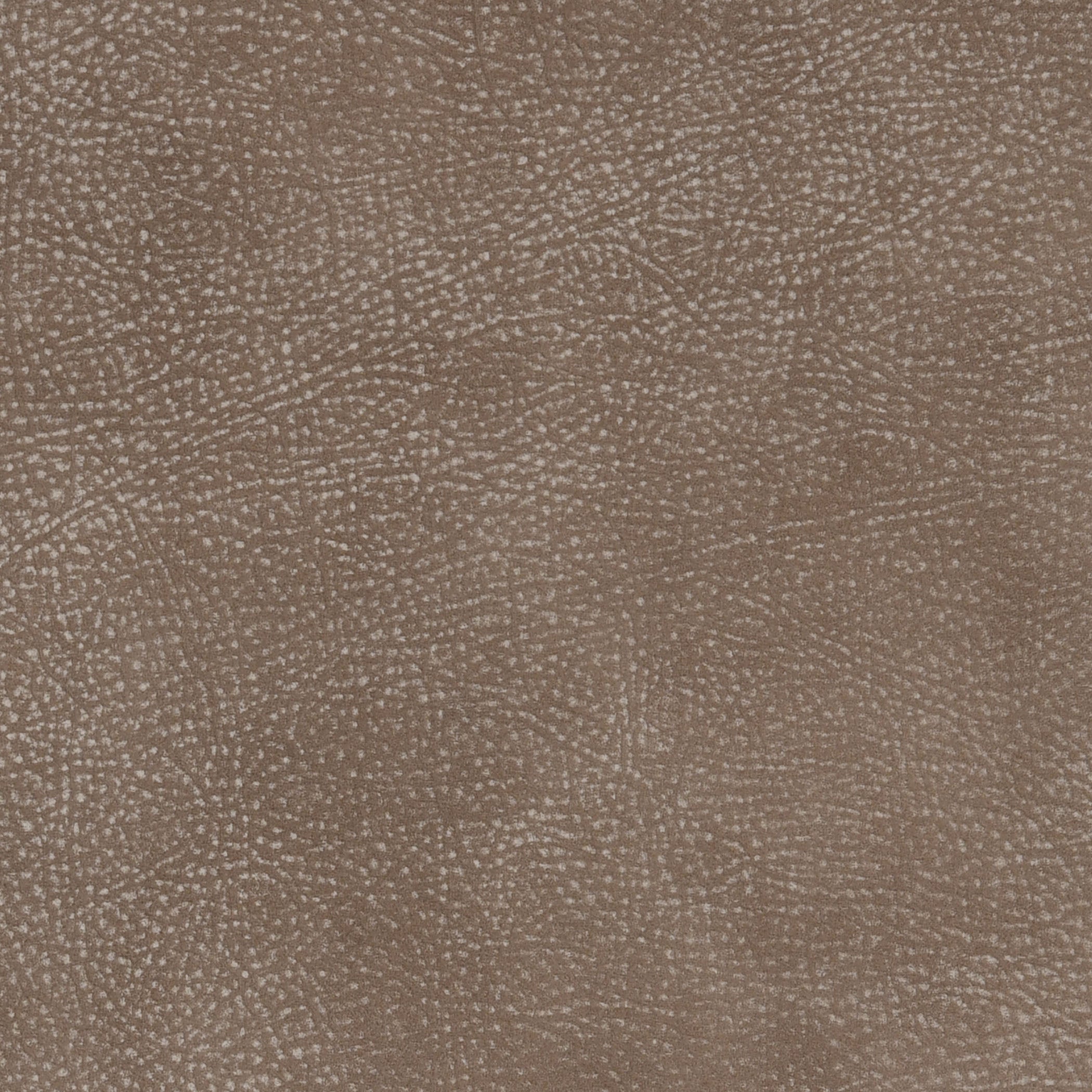 Sand Dollar-Buckeye Leather