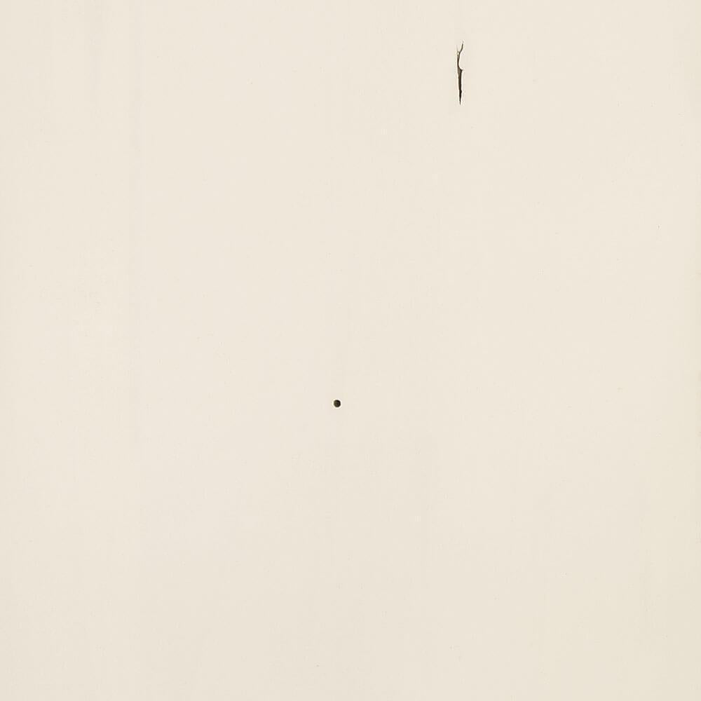 Muted White-Wormy Maple