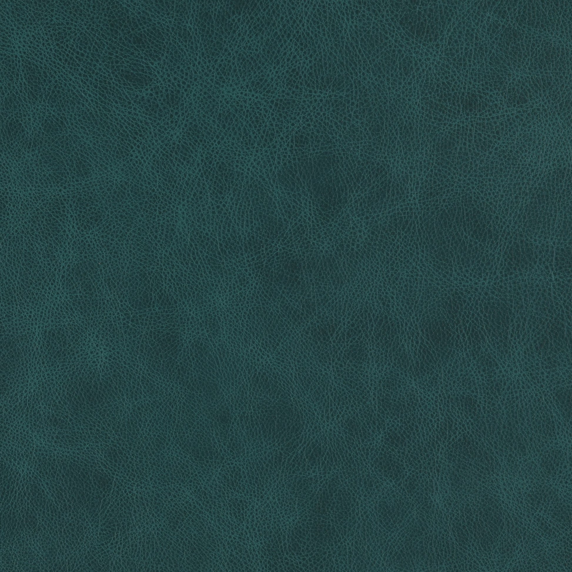 Peacock-Buckeye Leather