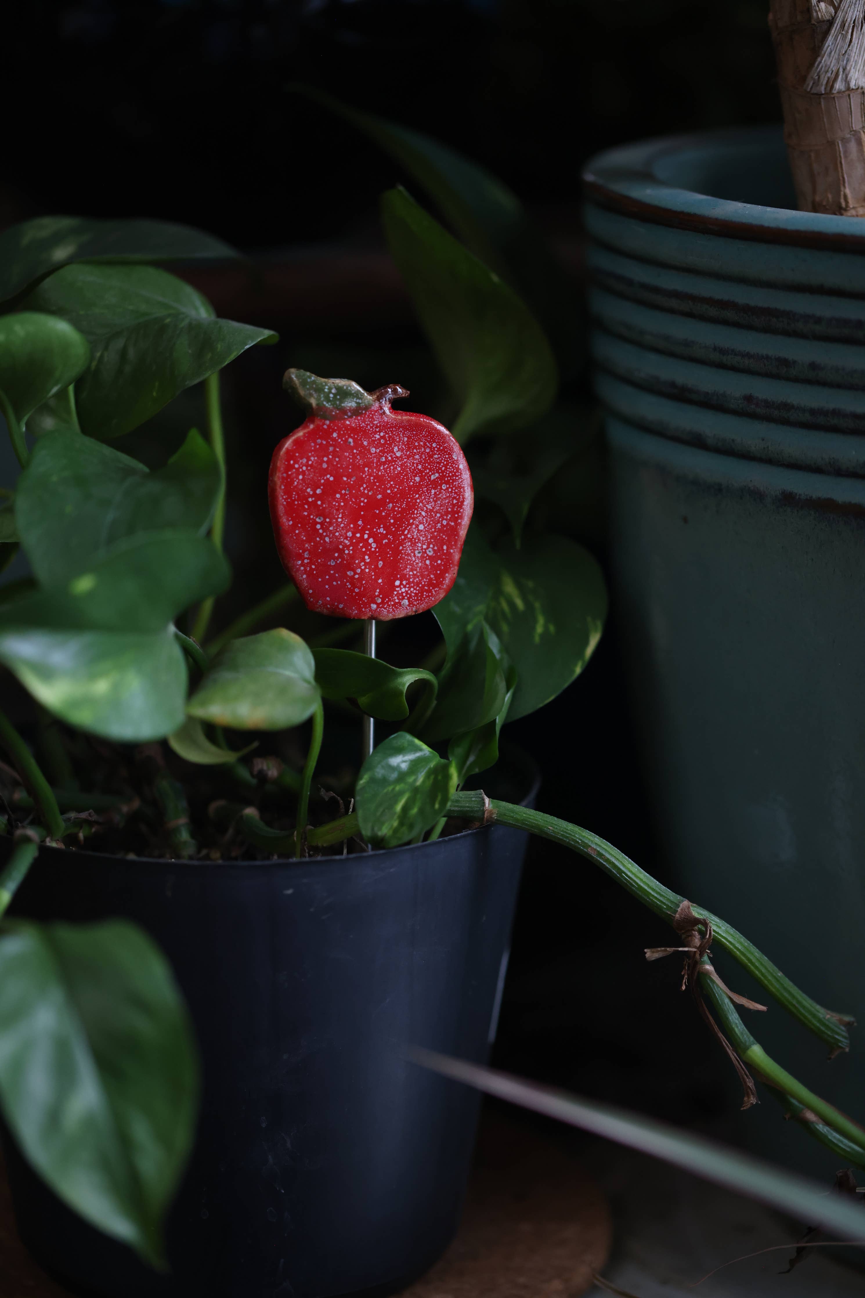 Plant Buddies - Apple