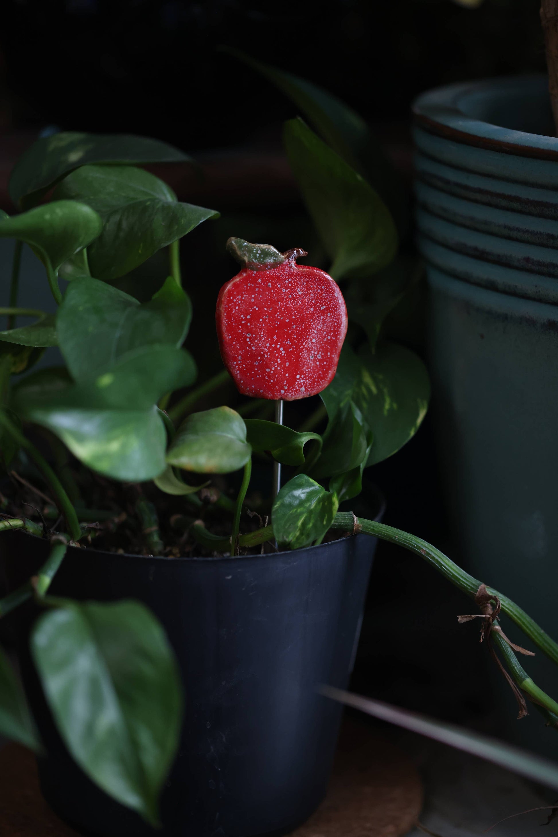 Plant Buddies - Apple