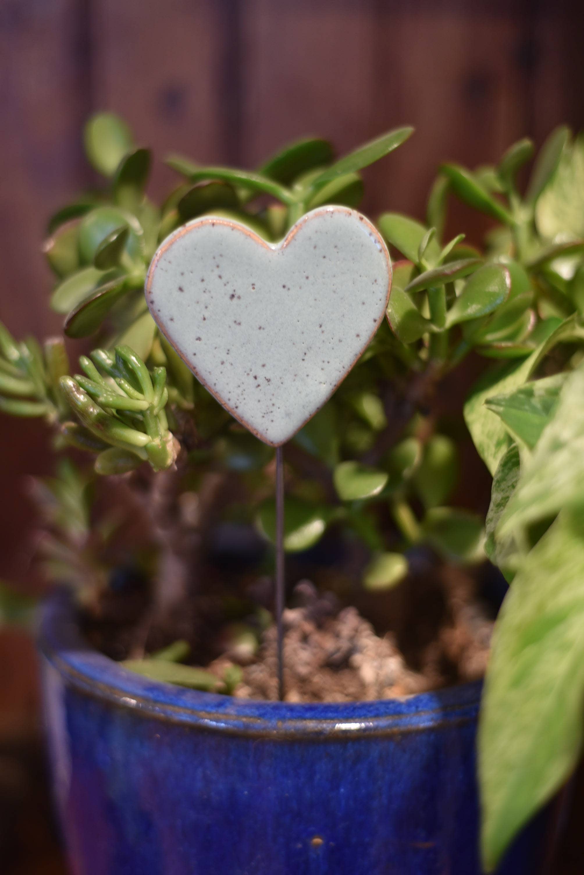 The Amish House Plant Buddies - Thumbnail 2