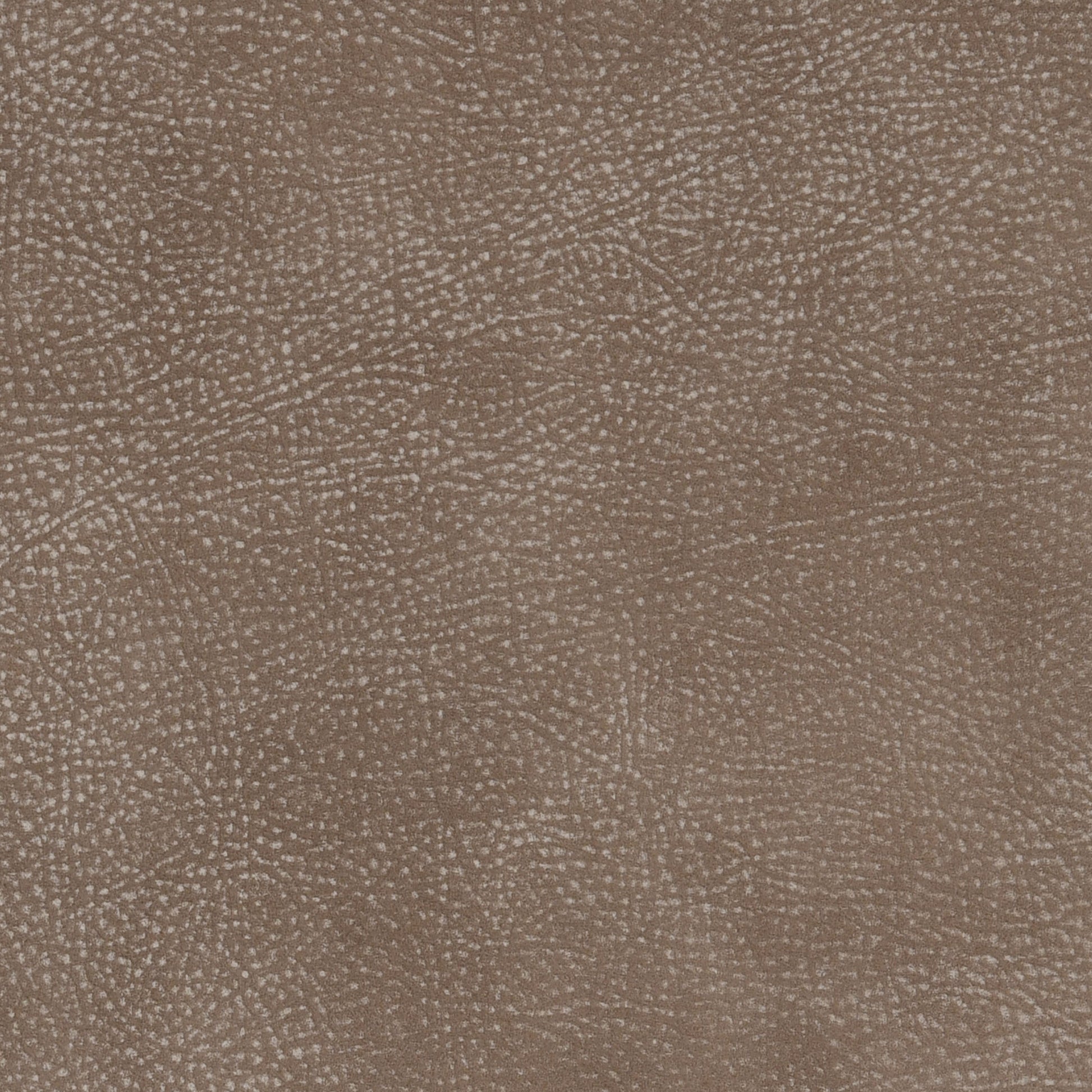 Sand Dollar-Buckeye Leather