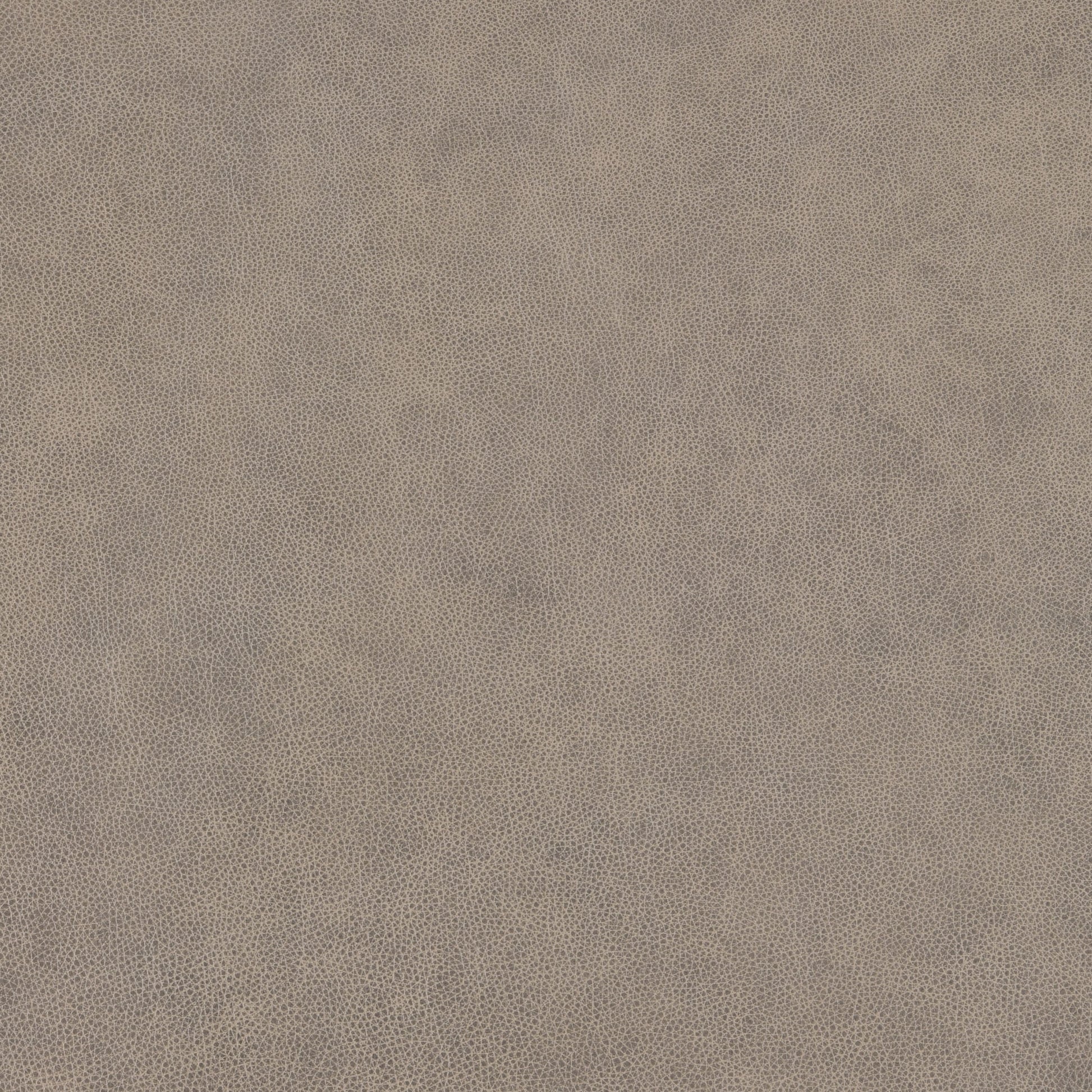 Sea Shell-Buckeye Leather