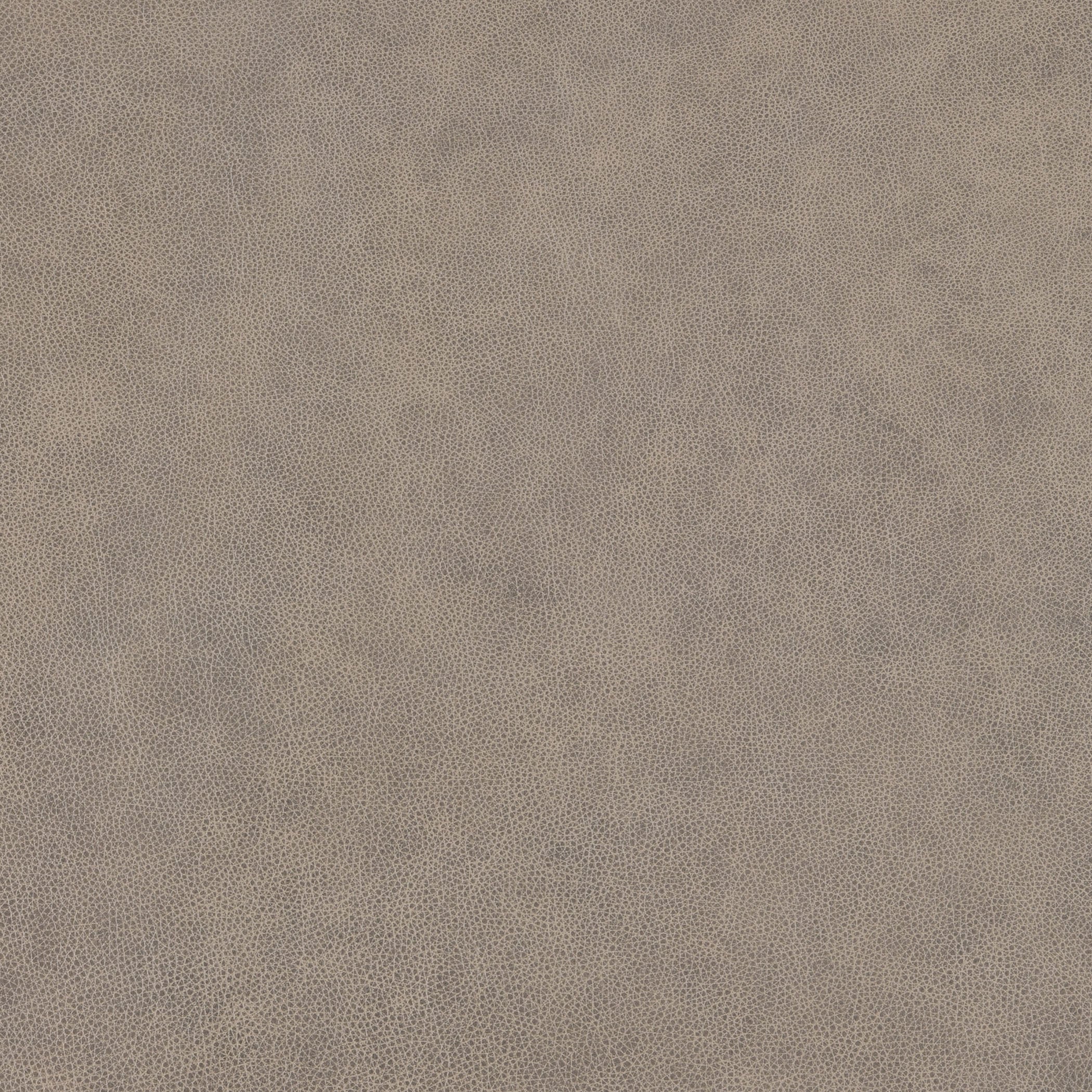 Sea Shell-Buckeye Leather