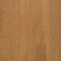 Chestnut-Brown Maple