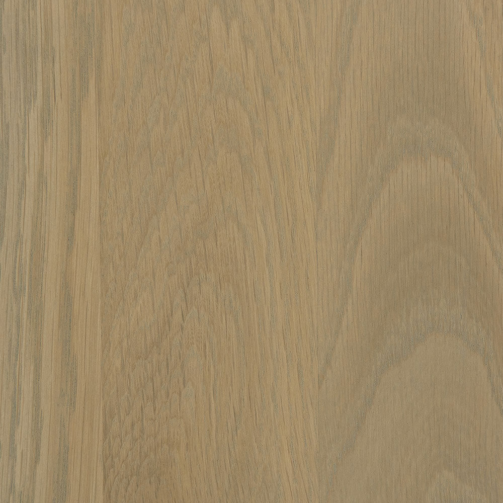 Seashell-Plain Sawn White Oak