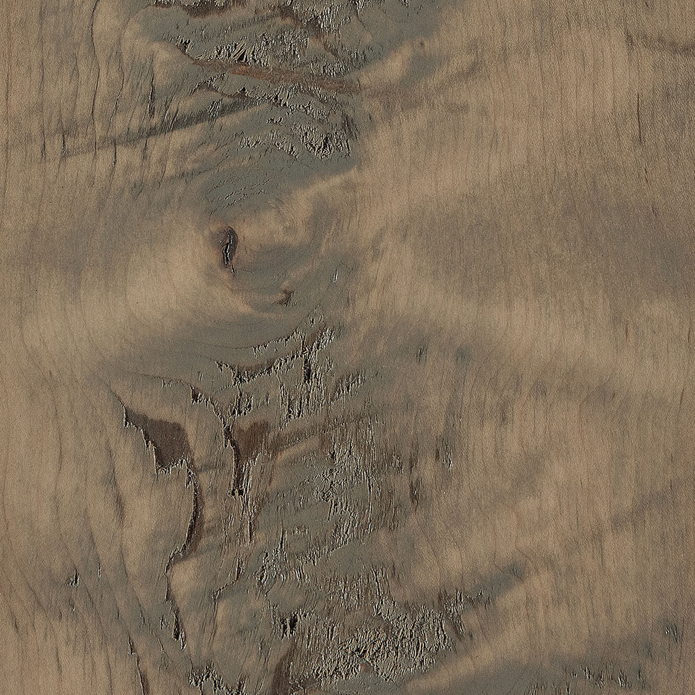 Seashell-Rough Sawn Brown Maple