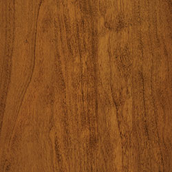 Golden Pecan-Sap Cherry