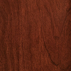 Scarlet-Sap Cherry