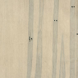 Limelight-Wormy Maple