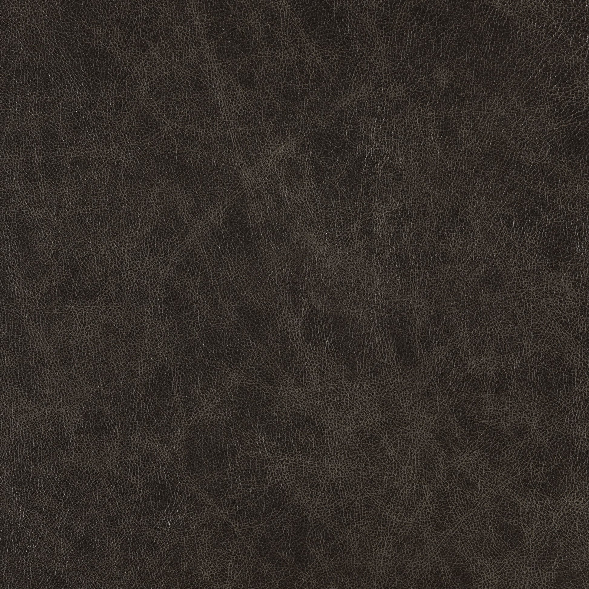 Steel-Buckeye Leather