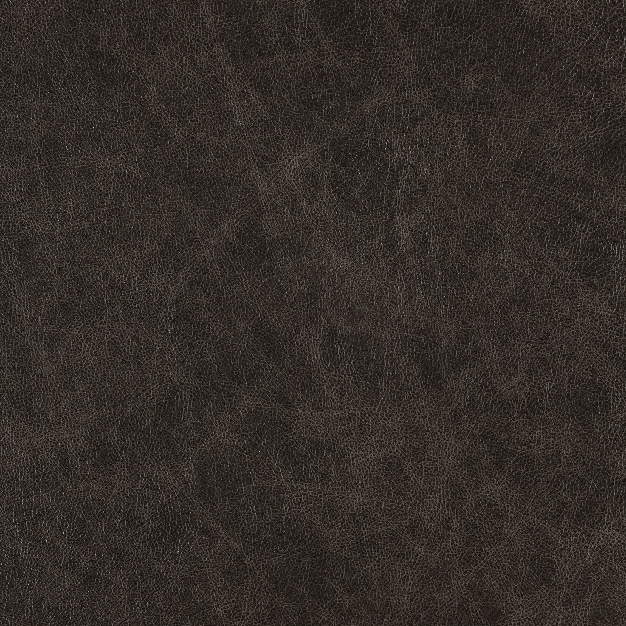 Steel-Buckeye Leather