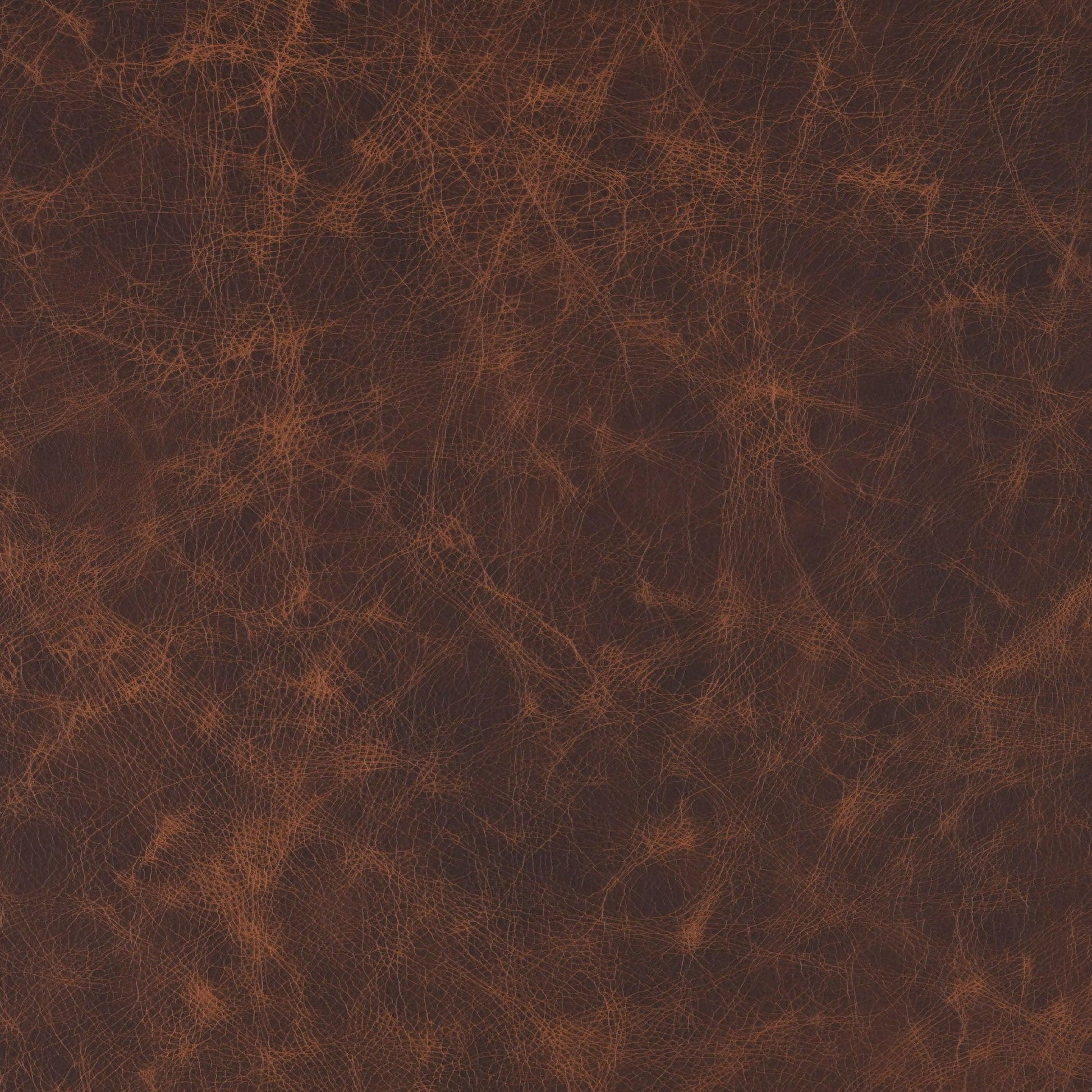 Warrior-Buckeye Leather