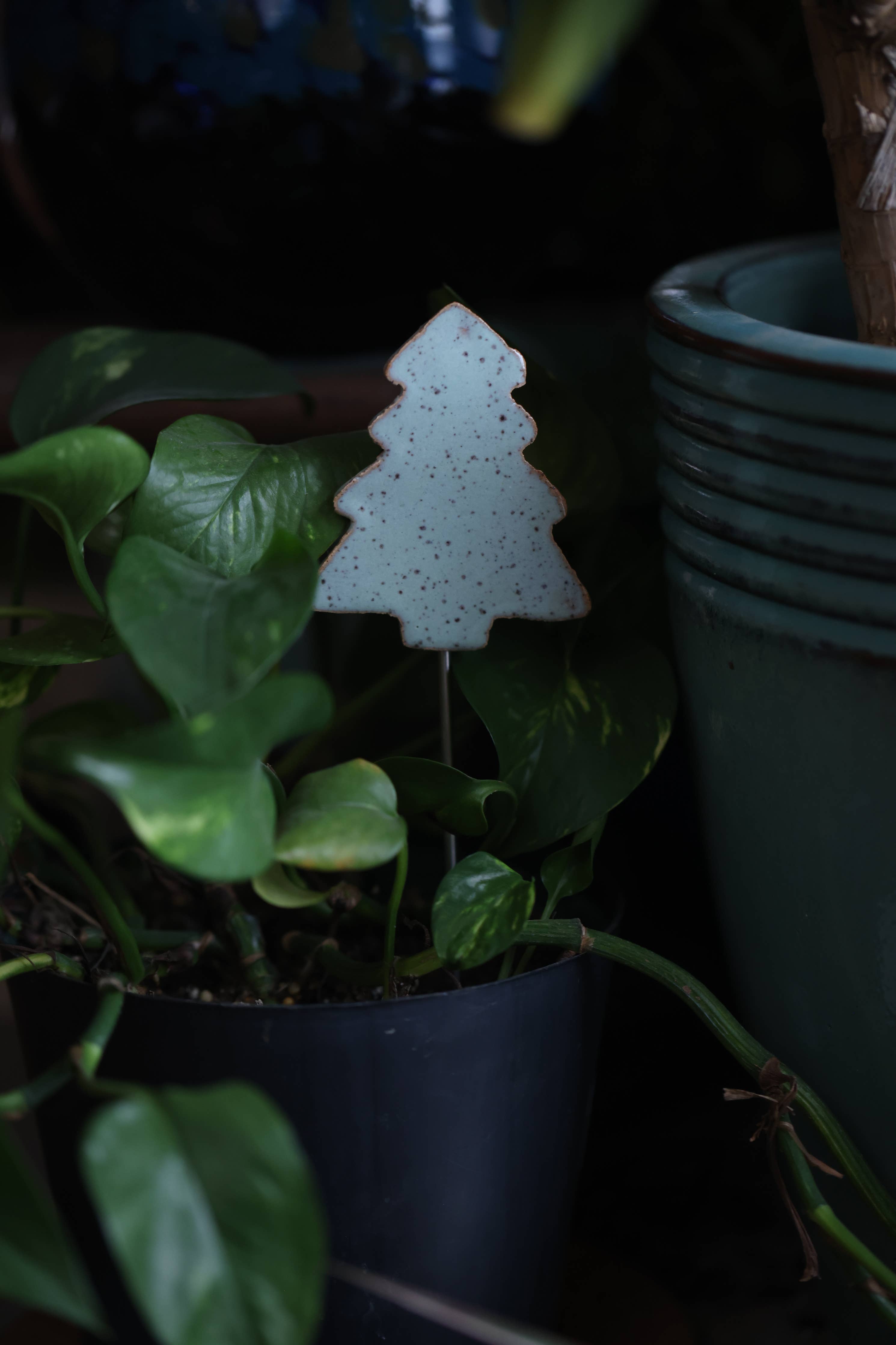 Plant Buddies - Christmas Tree