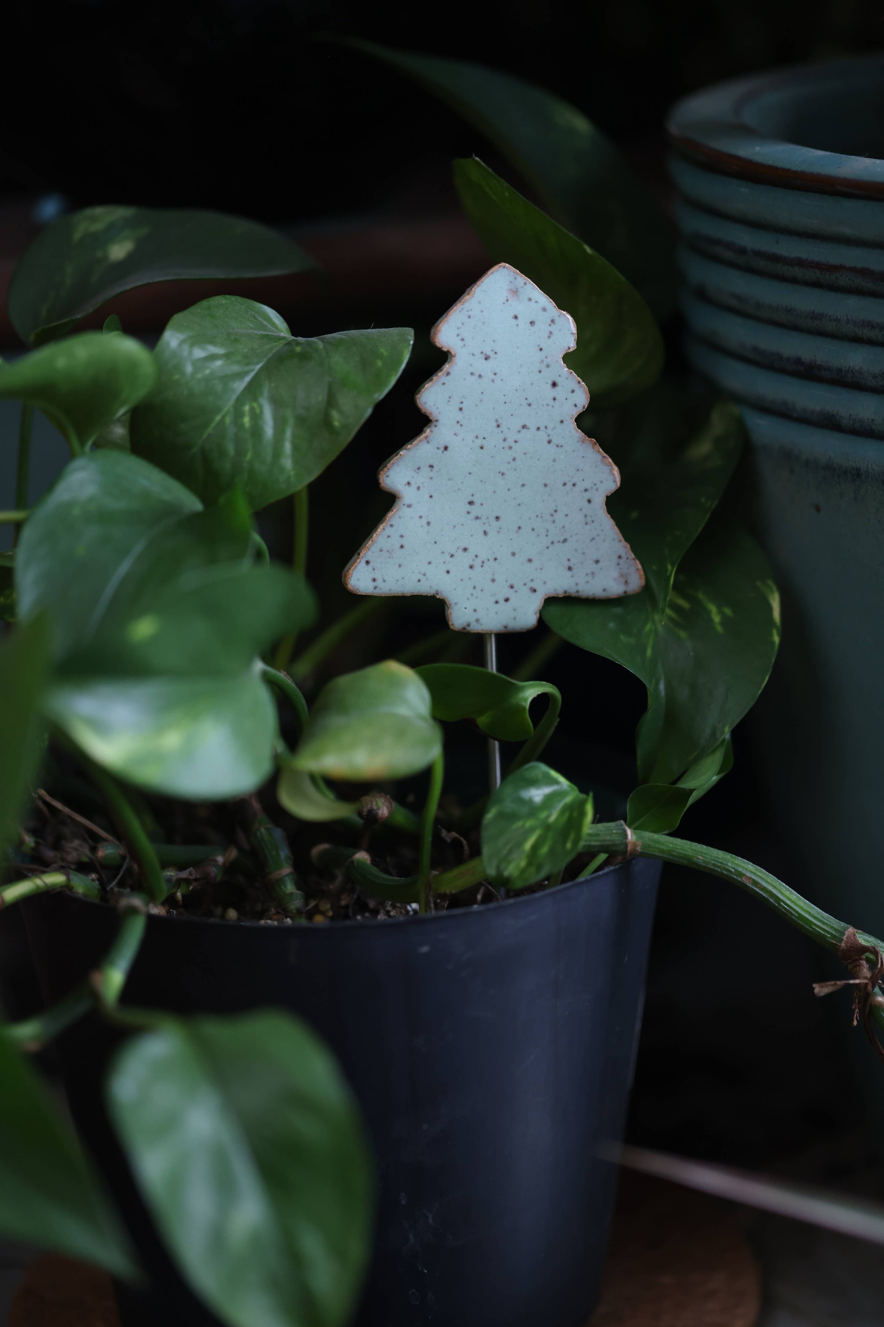 Plant Buddies - Christmas Tree