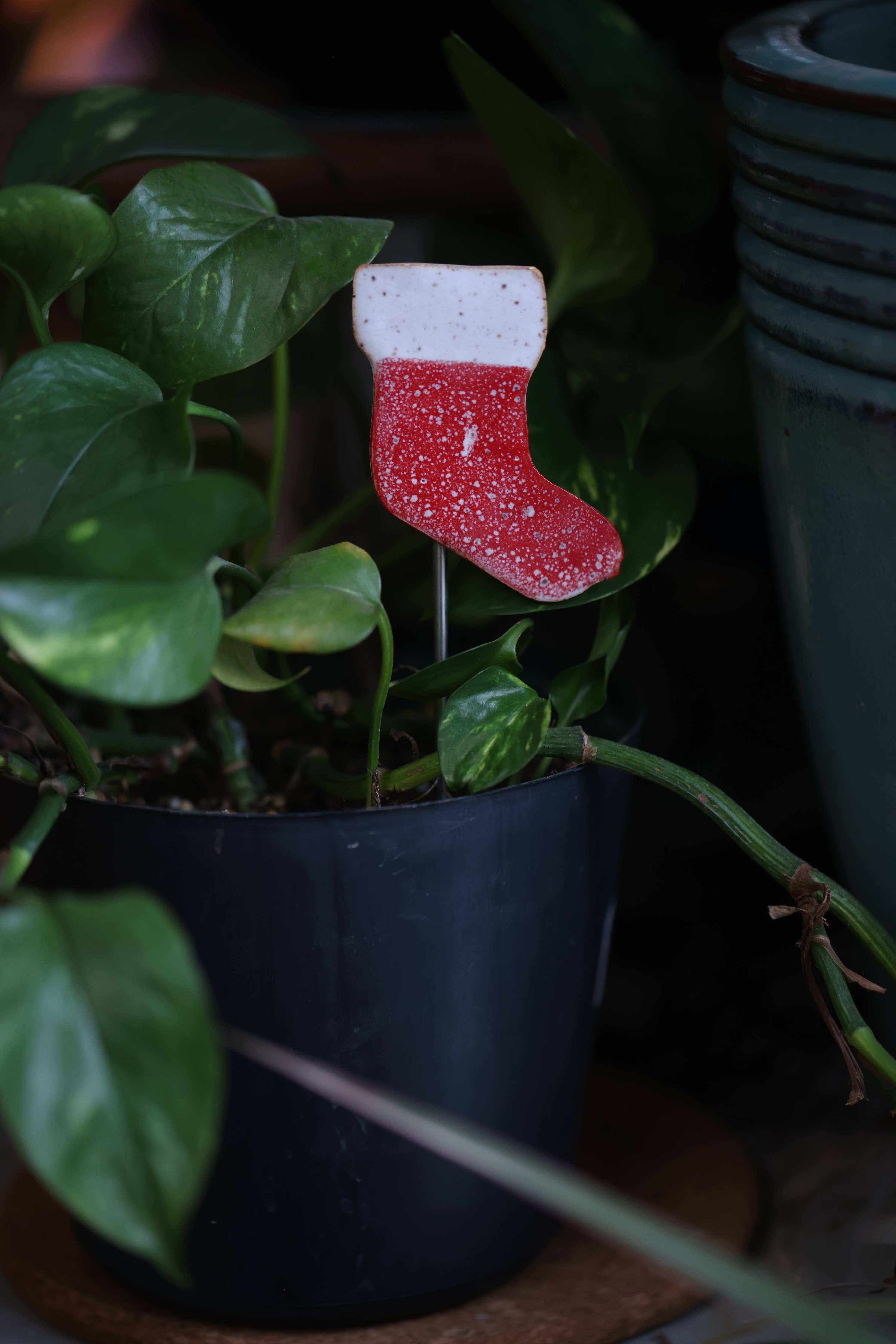 Plant Buddies - Stocking