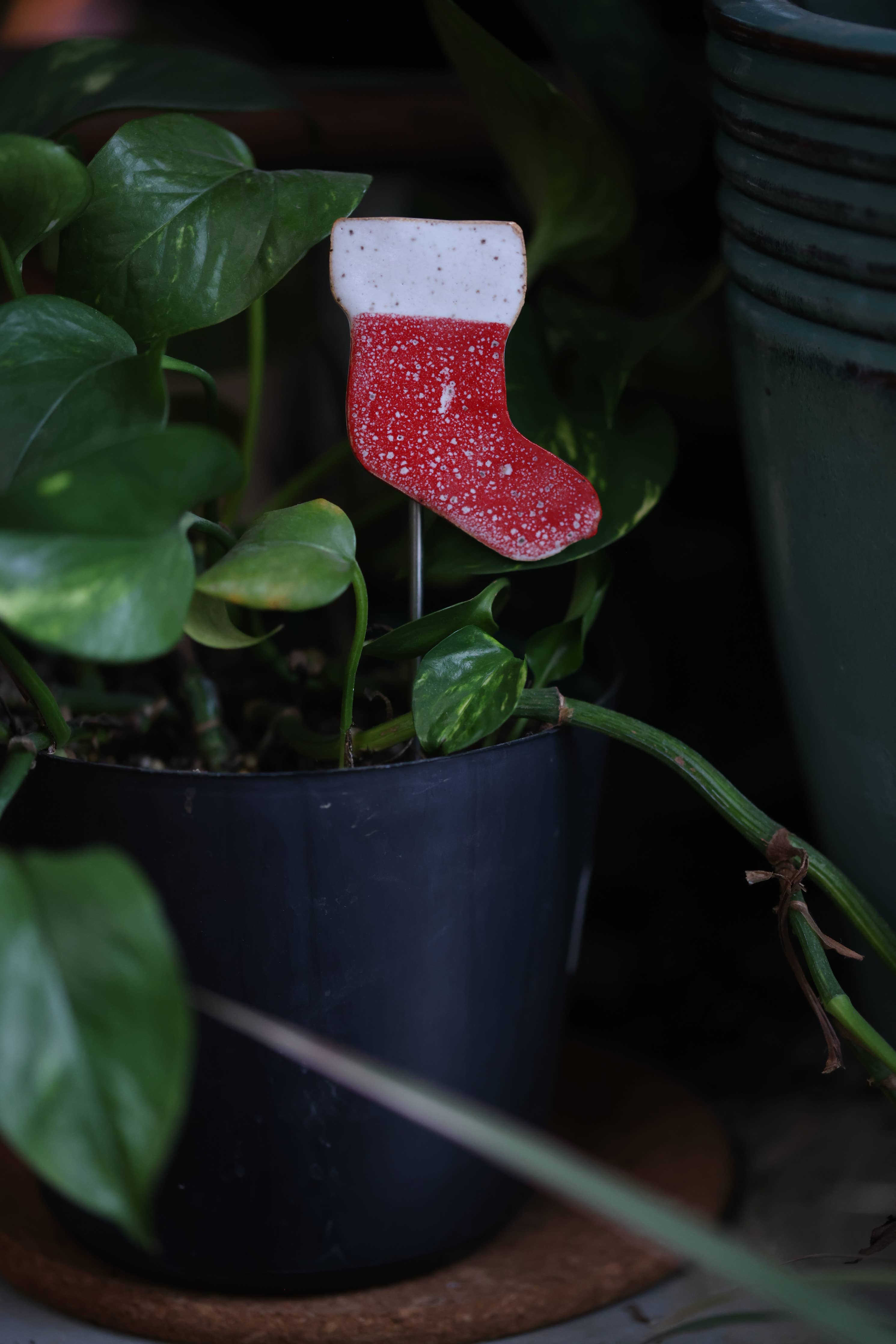 Plant Buddies - Stocking