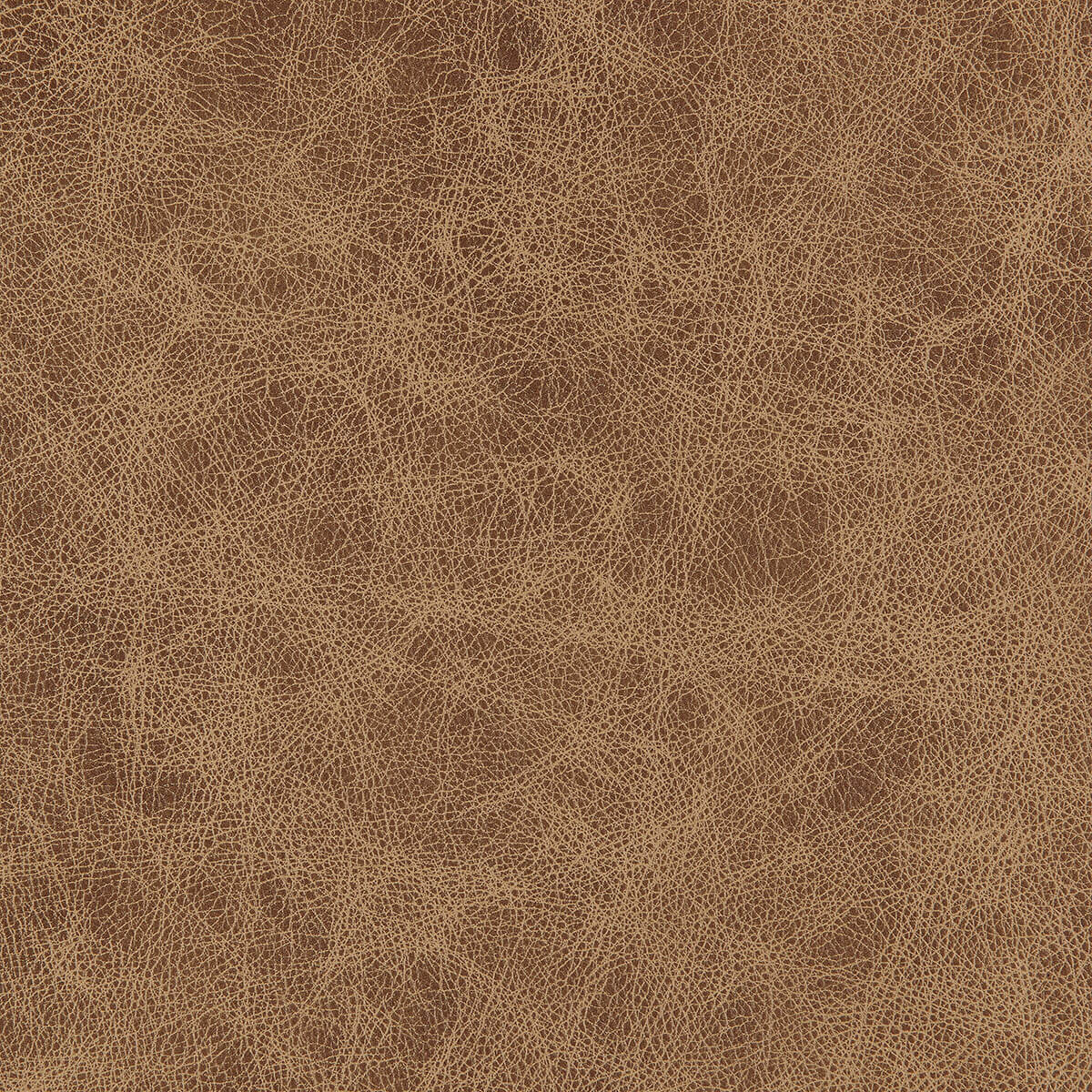 Tumbleweed-Heartland Leather