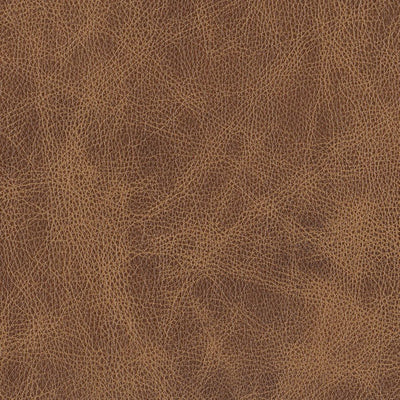Leather Samples