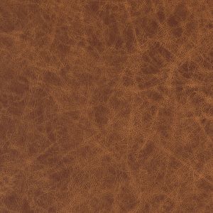 Cinnamon