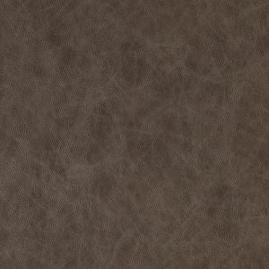 Saloon Grey