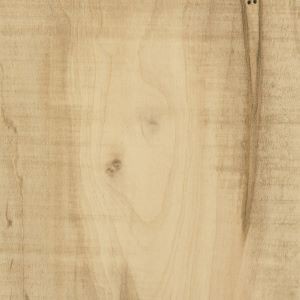 Bamboo