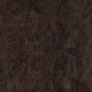 Cigar