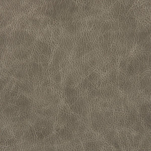 Fossil