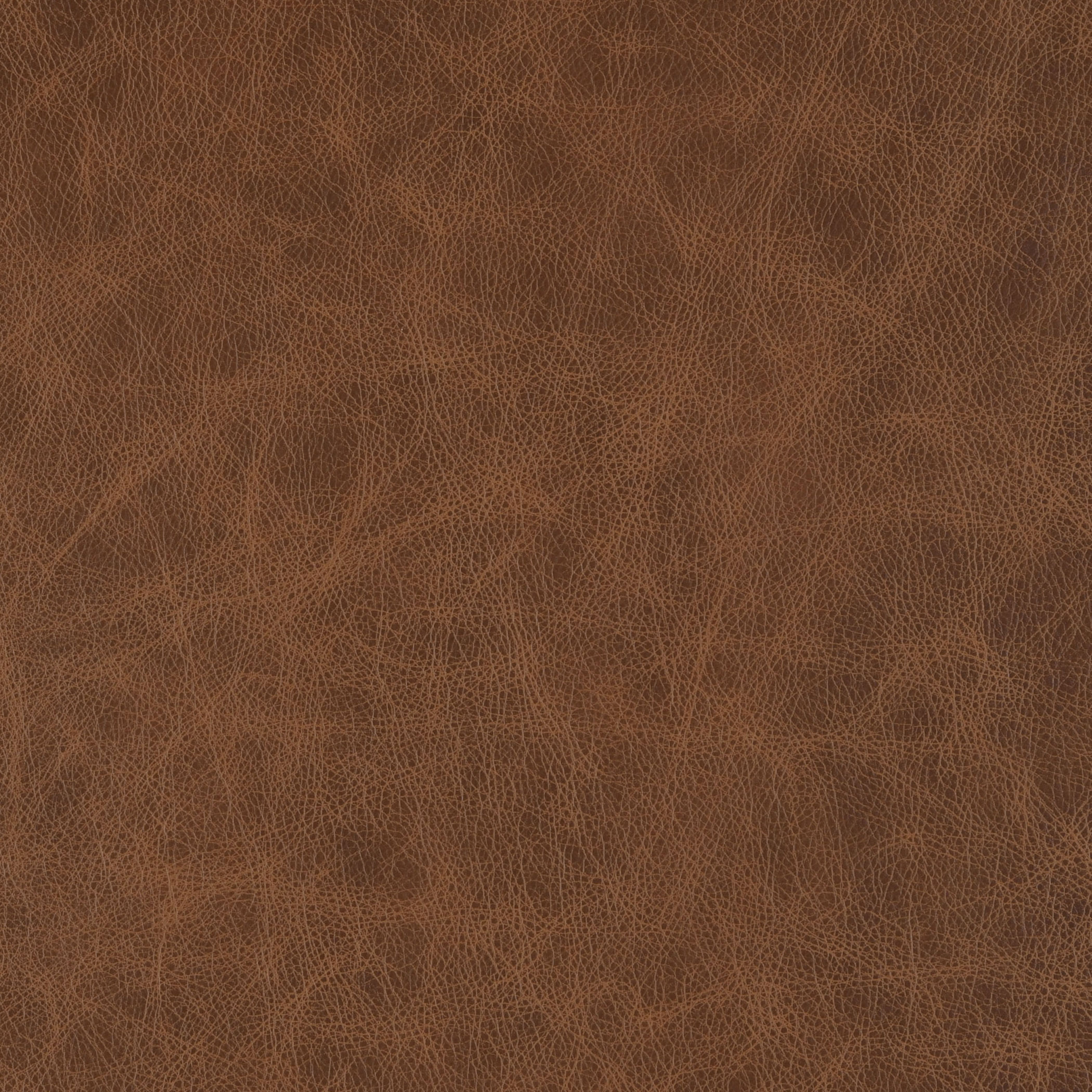 Hazelnut
